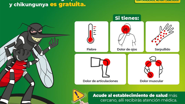 dengue