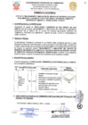Vista preliminar de documento TDR 