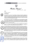Vista preliminar de documento Resolucion Directoral 153UqMb0