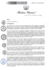 Vista preliminar de documento Resolucion Directoral 191vhsDq