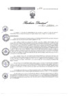Vista preliminar de documento Resolucion Directoral 216PRRRg