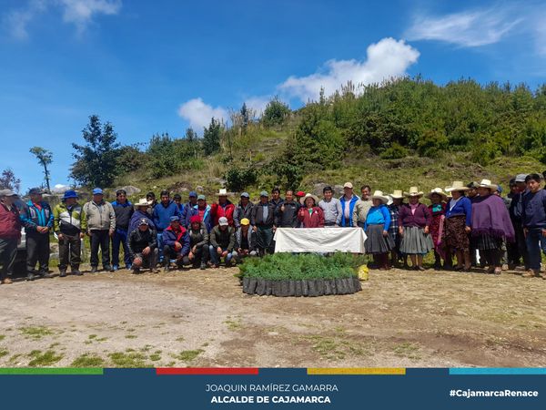 Más De 8 Mil Plantaciones De Pino Para C.P. Tual Y La Ramada