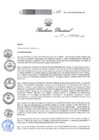 Vista preliminar de documento Resolucion Directoral 215g6vP6