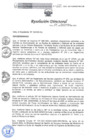 Vista preliminar de documento Resolucion Directoral 223PbayW