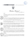 Vista preliminar de documento Resolucion Directoral 261znAMY