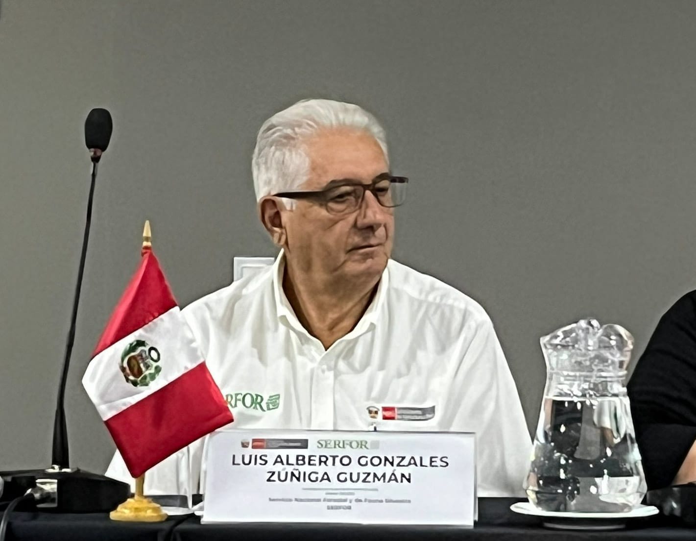 vicuñas3