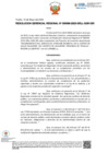 Vista preliminar de documento RGR N° 66 2023 GRLL GGR GRI