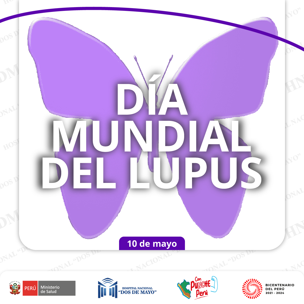 lupus