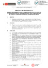 Vista preliminar de documento Directiva N° 001-2023-MTPE 24.2.1.3[R][R]