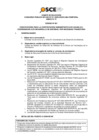 Vista preliminar de documento ANEXO 01