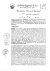 Vista preliminar de documento Resolucion Directoral Regional 0225-2023