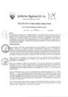 Vista preliminar de documento Resolucion Directoral Regional 0234-2023