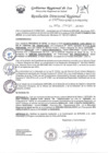Vista preliminar de documento Resolucion Directoral Regional 0254-2023