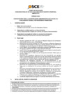 Vista preliminar de documento Anexo N° 01 - Puesto/s Vacante/s
