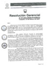 Vista preliminar de documento R.G. N° 020-2023-GRSM-PEHCBM-GG