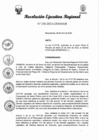 Vista preliminar de documento R.E.R N° 250