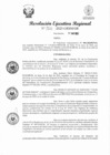 Vista preliminar de documento RER 262