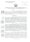 Vista preliminar de documento RD 77-2023