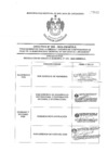 Vista preliminar de documento DIRECTIVA-004-2022.pdf7k16L