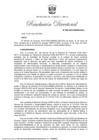 Vista preliminar de documento RD 066