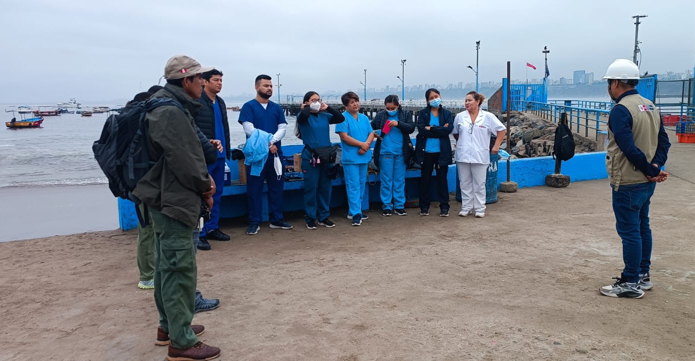 Despistaje de influenza - Isla Pachacámac