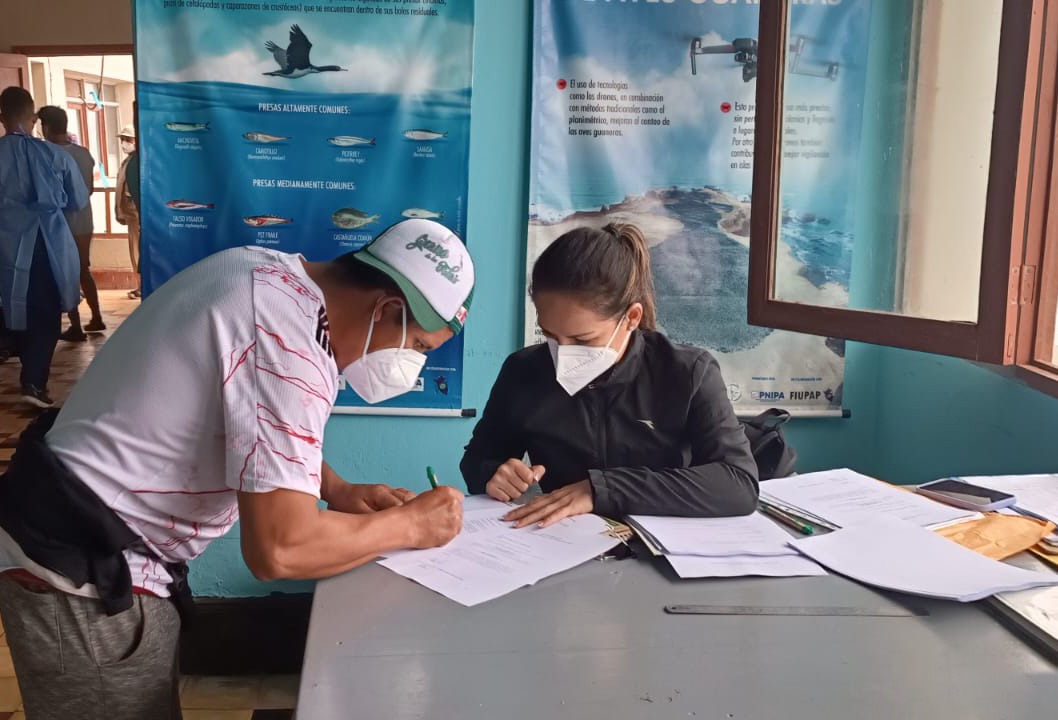 Despistaje de influenza - Isla Pachacámac