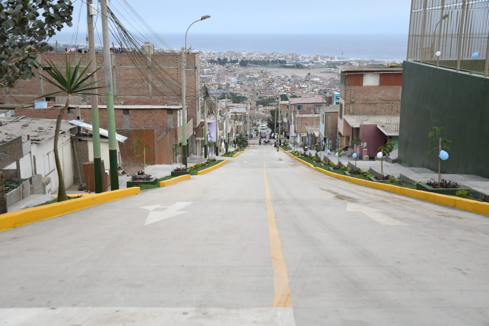 Pampas