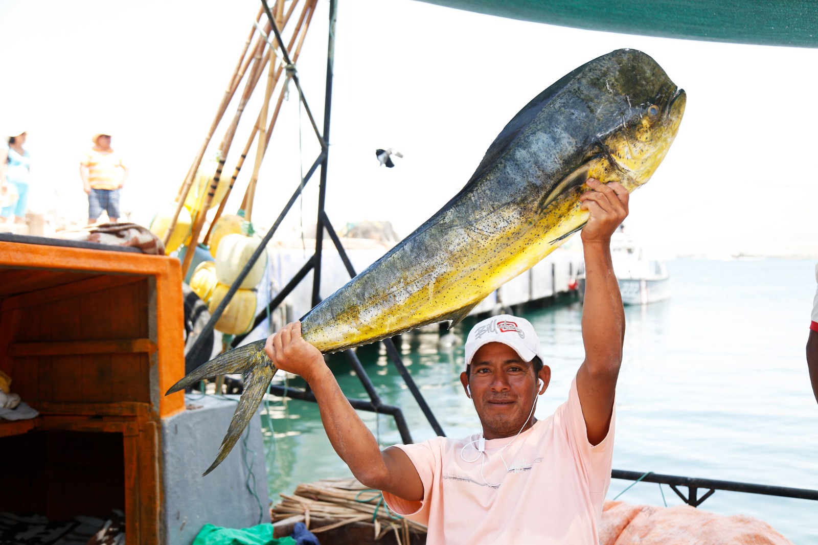 Bono del Pescador: Produce benefició a más de 32 000 pescadores artesanales con subsidio económico de 500 soles