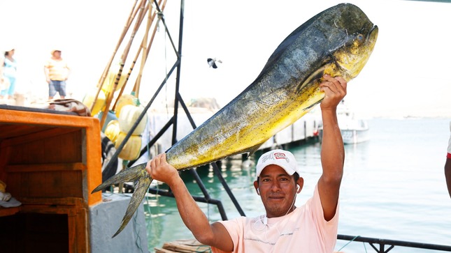 Bono del Pescador: Produce benefició a más de 32 000 pescadores artesanales con subsidio económico de 500 soles