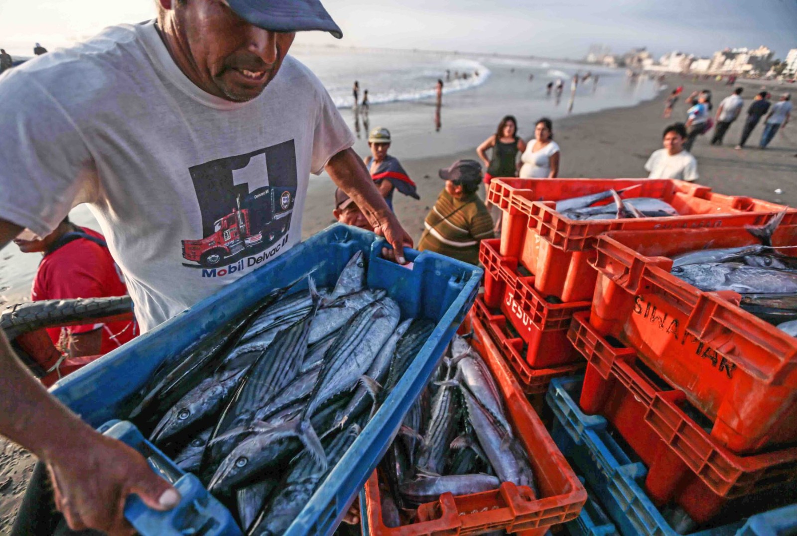 Bono del Pescador: Produce benefició a más de 32 000 pescadores artesanales con subsidio económico de 500 soles