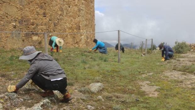 Servidores de la unidad ejecutora realizando tareas de mantenimiento en los bienes inmuebles prehispánicos