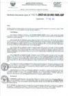Vista preliminar de documento RD- 1523