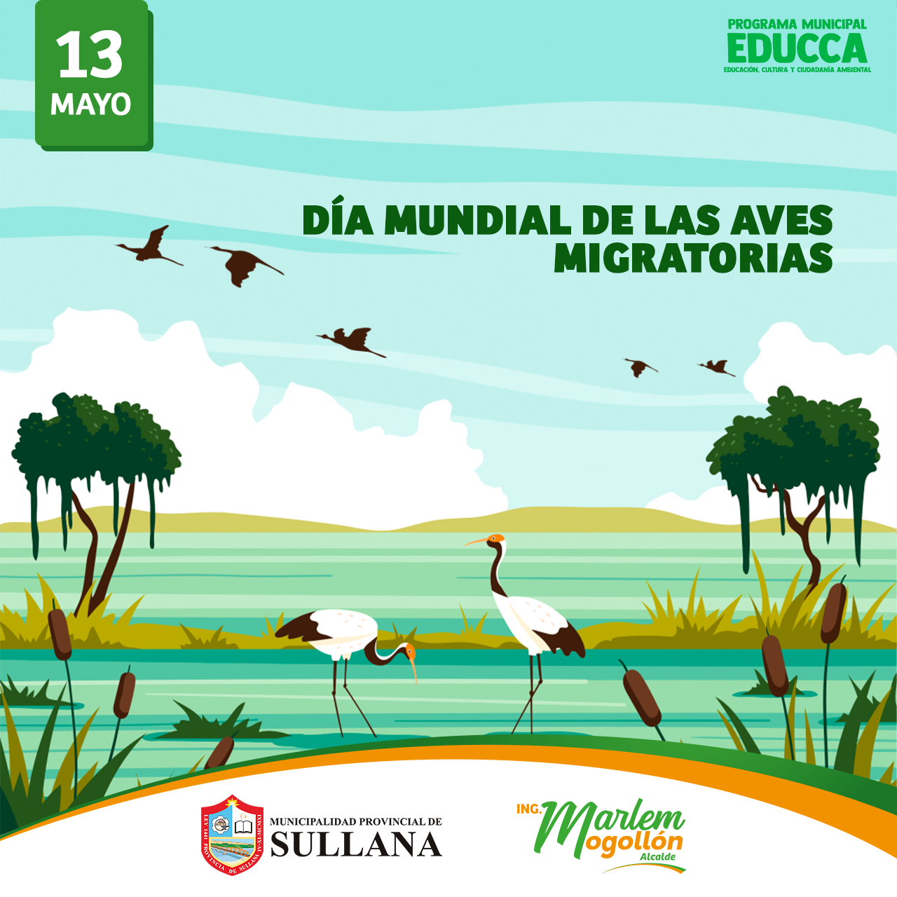 día de las aves