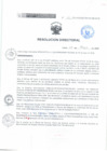 Vista preliminar de documento RESOLUCIÓN DIRECTORAL 110 2018ofoon
