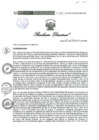 Vista preliminar de documento RESOLUCIÓN DIRECTORAL 317 20187BpZS