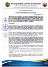 Vista preliminar de documento ACM N°033-2023