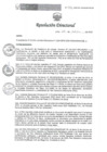 Vista preliminar de documento RESOLUCION DIRECTORAL