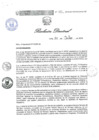 Vista preliminar de documento RESOLUCIÓN DIRECTORAL 133neWSA