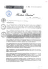 Vista preliminar de documento RESOLUCIÓN DIRECTORAL 195jKMUR