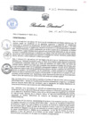 Vista preliminar de documento RESOLUCIÓN DIRECTORAL 219AvTWl