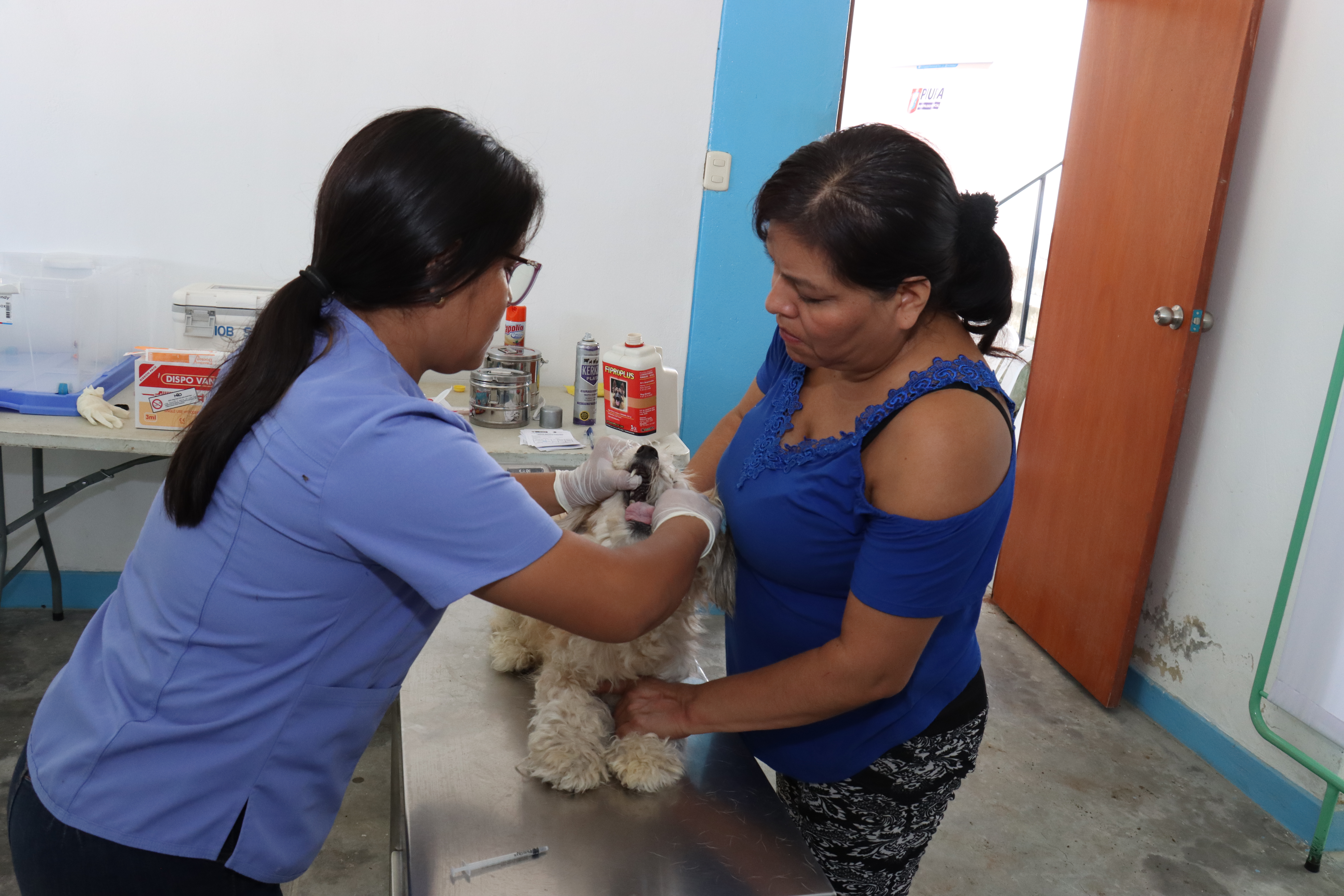 Estas campañas veterinarias descentralizadas buscan orientar a los dueños responsables para efectuar la esterilización y castración de mascotas