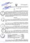 Vista preliminar de documento RD N°0037