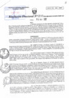Vista preliminar de documento RD N°0038