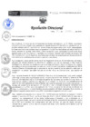 Vista preliminar de documento RESOLUCIÓN DIRECTORAL 169 2016PBkpb