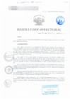 Vista preliminar de documento RESOLUCIÓN DIRECTORAL 302 2016mZ8M9
