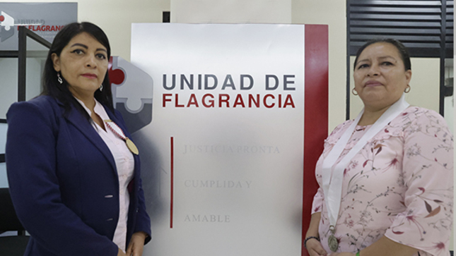 SENTENCIA UNIDAD DE FLAGRANCIA 