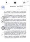 Vista preliminar de documento RESOLUCIÓN DIRECTORAL 333 2015UgrEK