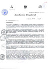 Vista preliminar de documento RESOLUCIÓN DIRECTORAL 334 2015zIeru