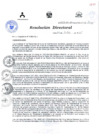 Vista preliminar de documento RESOLUCIÓN DIRECTORAL 337 2015YWdm5