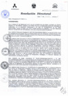 Vista preliminar de documento RESOLUCIÓN DIRECTORAL 355 2015aZuMd